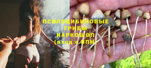 трава Алексин