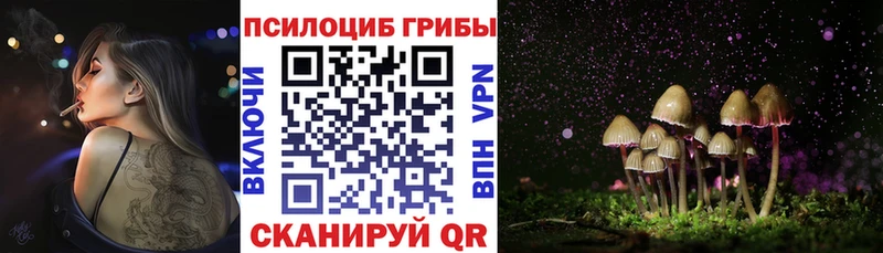 Купить где  Спасск  Псилоцибиновые грибы мицелий 